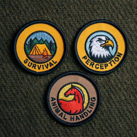 Skill Patches