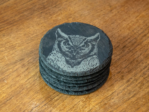 Owl Coaster